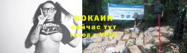 соль курить ск Няндома