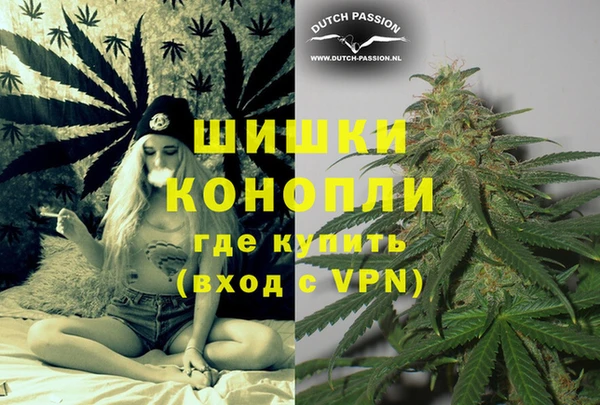 амф Новодвинск
