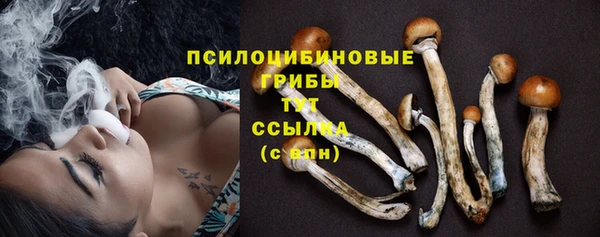 соль курить ск Няндома