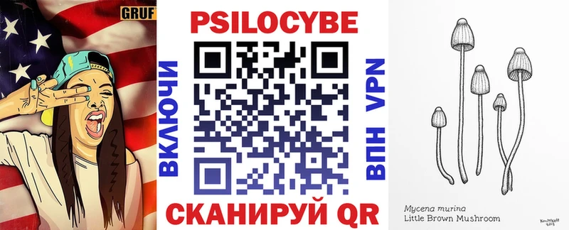блэк спрут   Олонец  Галлюциногенные грибы мицелий 