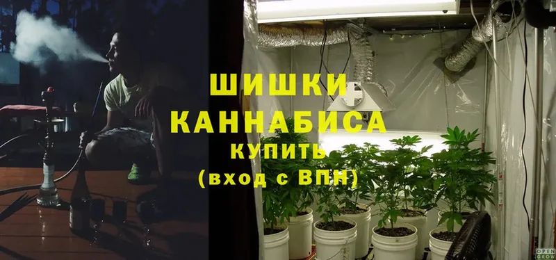 это наркотические препараты  что такое   Олонец  Шишки марихуана LSD WEED 