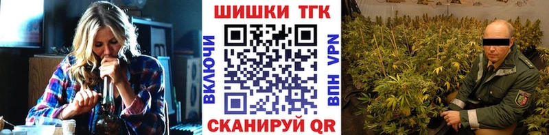 купить наркотики цена  Олонец  Конопля Ganja 